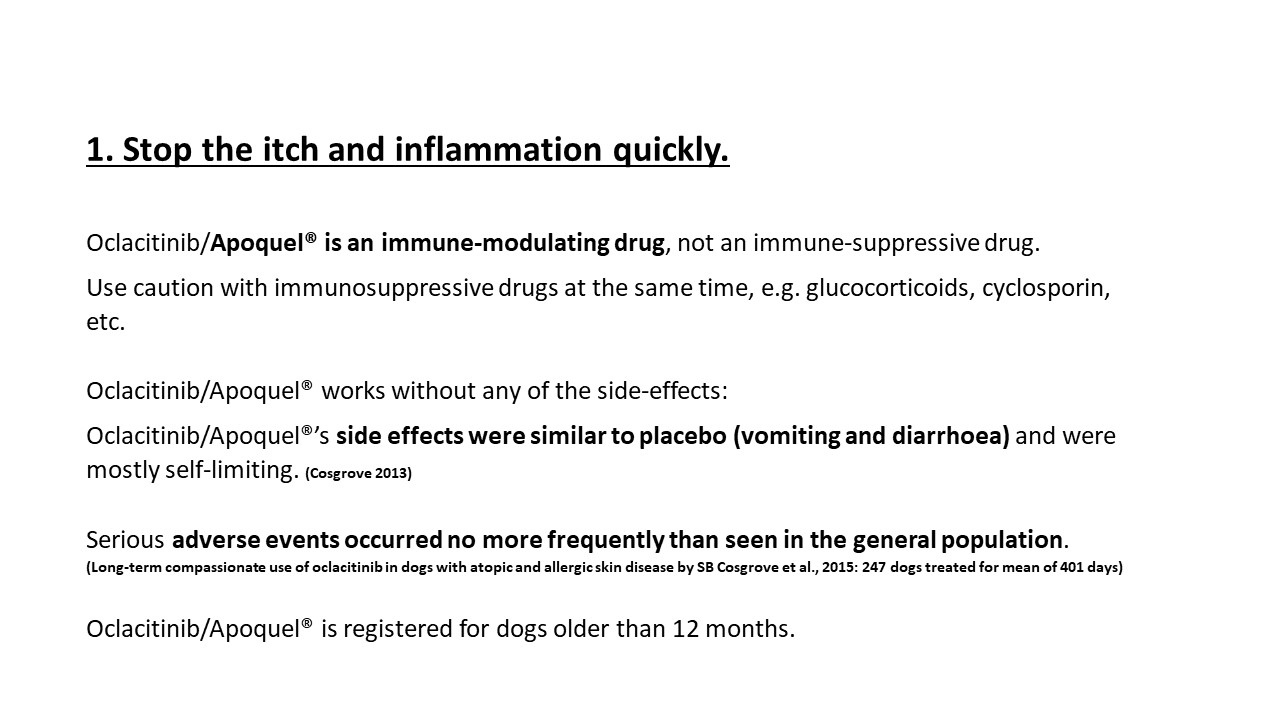 Pruritic_Dog_Webinar_Slide_16.jpg